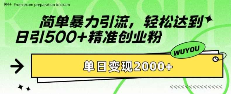 简单暴力引流轻松达到日引500+精准创业粉，单日变现2k【揭秘】-青简副业网