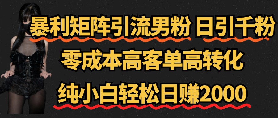 暴利矩阵引流男粉（日引千粉），零成本高客单高转化，纯小白轻松日赚2000+-青简副业网