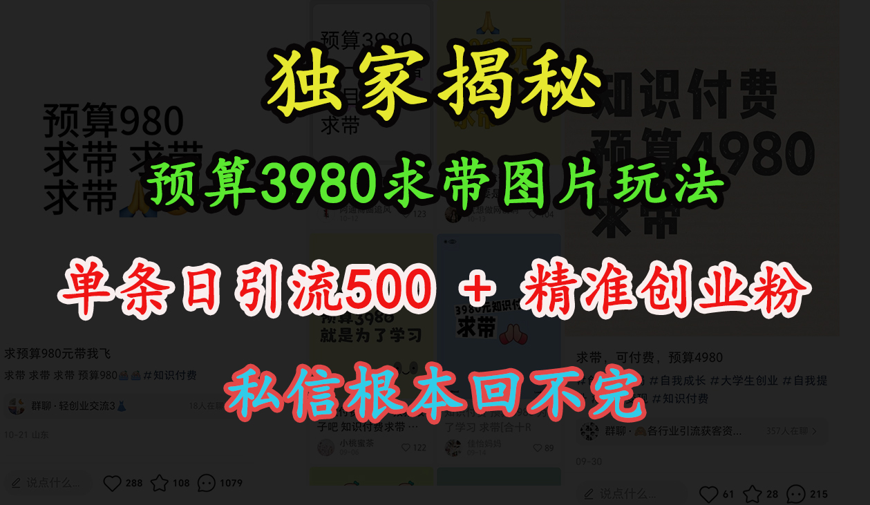 “小红书”预算3980求带 图片玩法，单条日引流500+精准创业粉，私信根本回不完-青简副业网