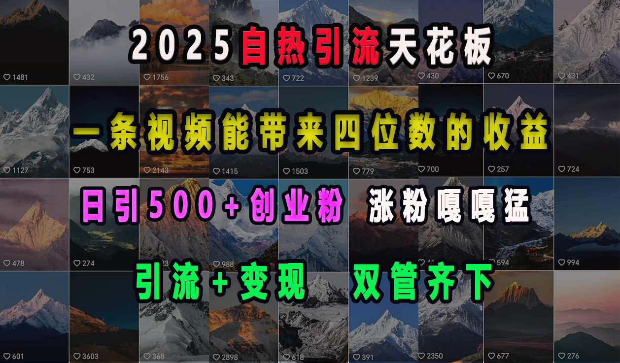 2025自热引流天花板，一条视频能带来四位数的收益，引流+变现双管齐下，日引500+创业粉，涨粉嘎嘎猛-青简副业网