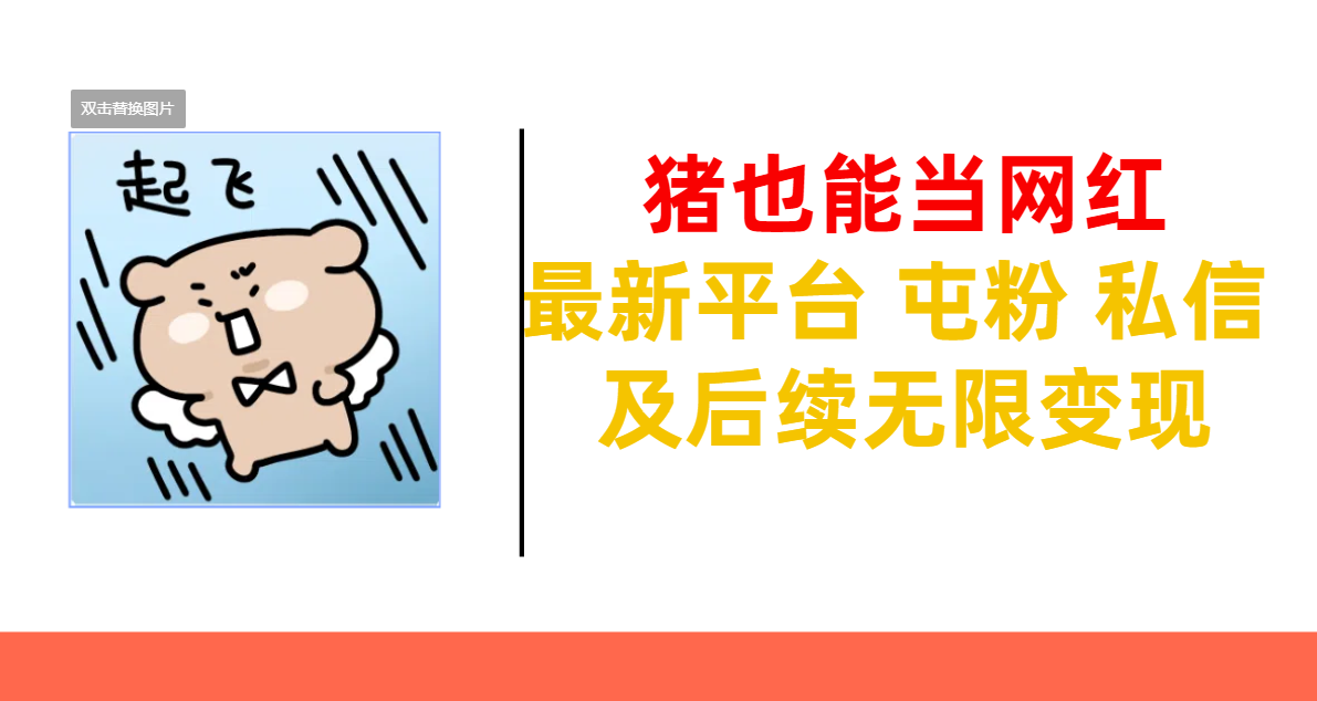 猪也能当网红-最新平台 屯粉 交流 私信 及后续无限变现-青简副业网