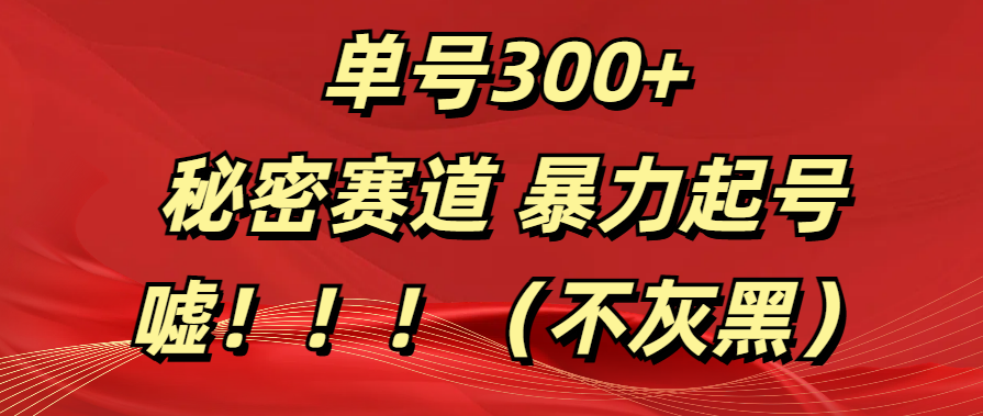 单号300+  秘密赛道 暴力起号  （不灰黑）-青简副业网