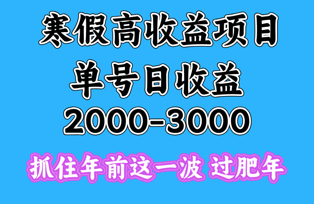 寒假期间一天收益2000-3000+，抓住年前这一波-青简副业网