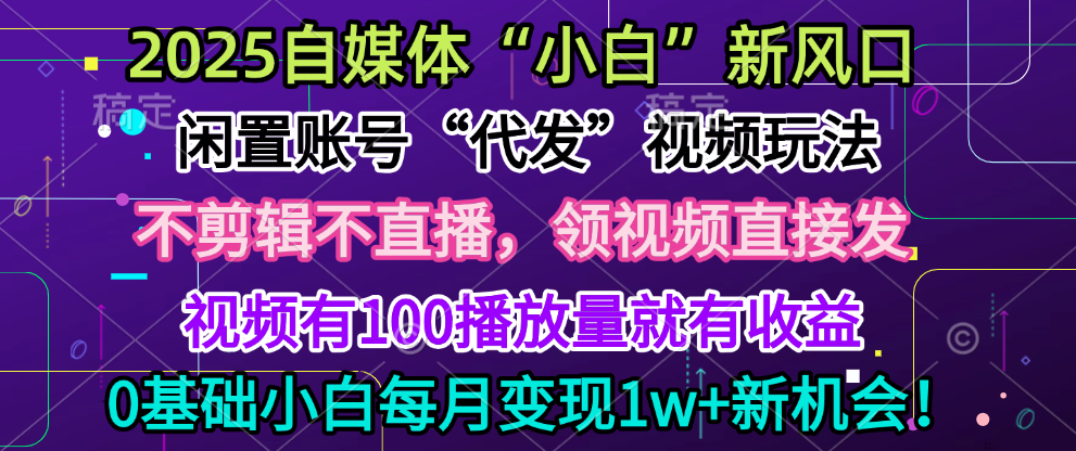 2025每月躺赚5w+新机会，闲置视频账号一键代发玩法，0粉不实名不剪辑，领了视频直接发，0基础小白也能日入300+-青简副业网