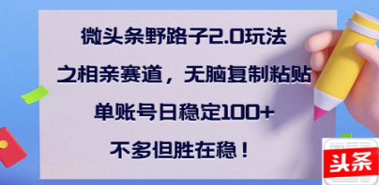 全网首发微头条野路子2.0玩法之相亲赛道，无脑搬砖复制粘贴，单账号日稳定300+保姆级教程-青简副业网