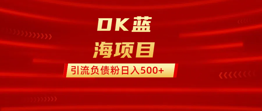 DK蓝海项目  通过，抖音，快手，小红书，引流负债粉日入500+-青简副业网