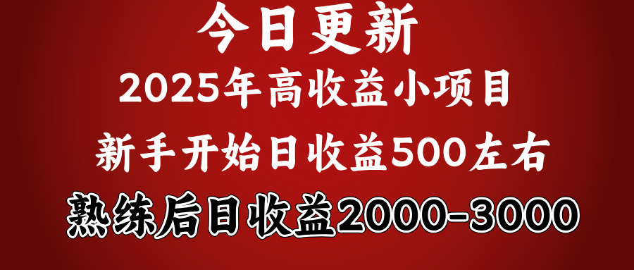 好项目一眼就能看出来，日收益1000，长久可做，2025拼的就是我比你勤奋-青简副业网