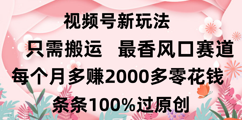 日入2000+，条条100%过原创，视频号最香风口赛道，小白轻松上手-青简副业网