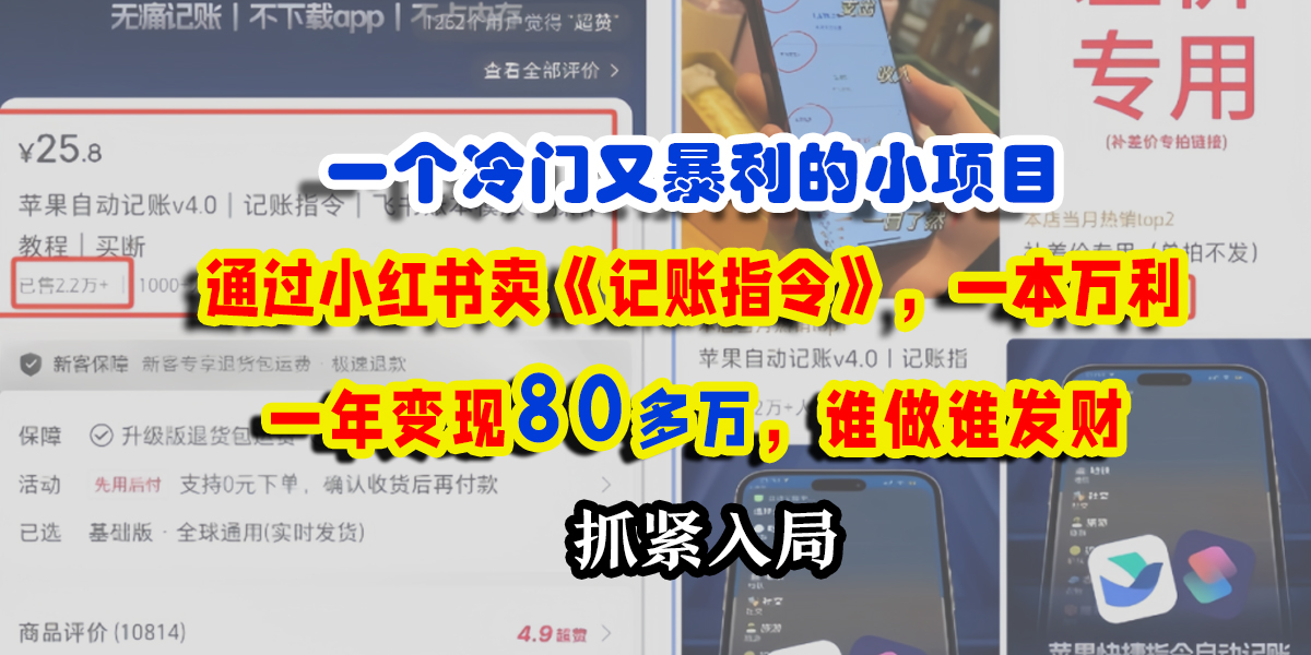 一个冷门又暴利的小项目，通过小红书卖《记账指令》，一本万利，一年变现80多万，谁做谁发财-青简副业网