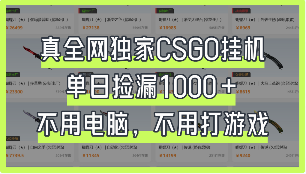 真全网独家CSGO挂机，单日捡漏1000+-青简副业网
