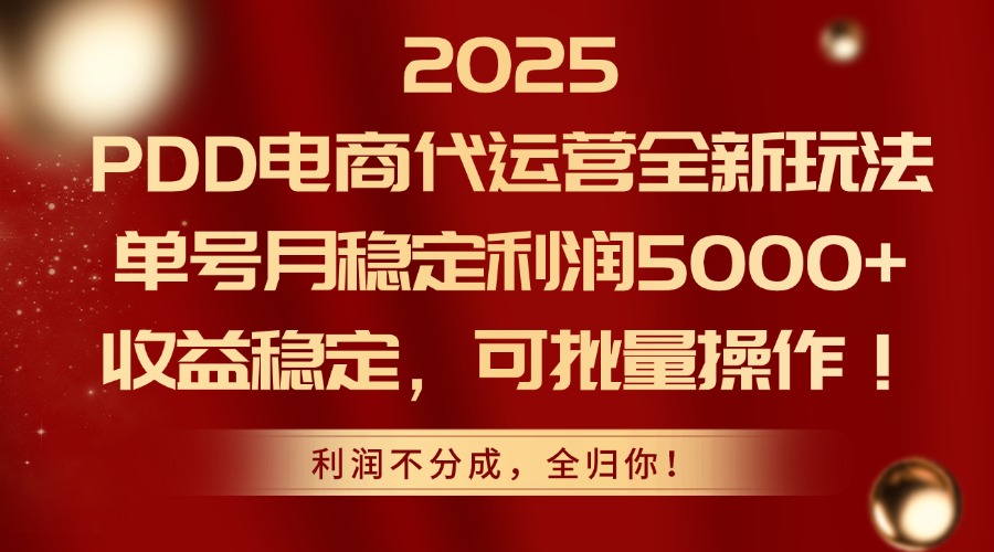 2025 PDD电商代运营全新玩法，单号月稳定利润5000+，收益稳定，可批量操作！-青简副业网