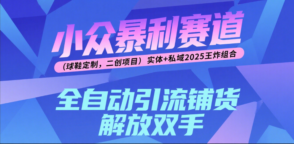 楠—小众暴利赛道（球鞋定制，二创项目）实体+私域2025王炸组合-青简副业网