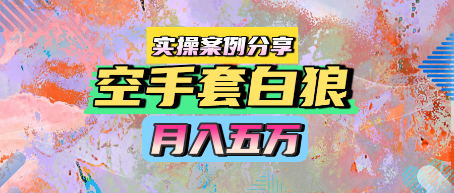 空手套白狼，月入五万，实操案例分享-青简副业网