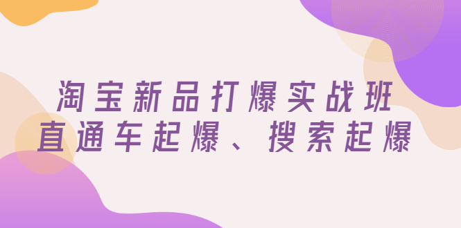 【副业项目3372期】淘宝新品打爆实战班（淘宝店铺如何增加流量和访客）-青简副业网