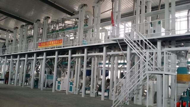 五十吨玉米深加工项目赚钱吗？小型玉米深加工项目有哪些？-青简副业网