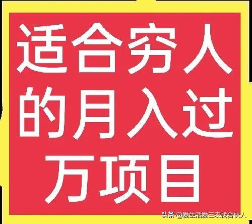 适合农村人做的赚钱项目（在农村做什么项目好）-青简副业网