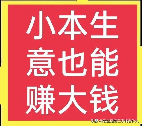2022年投资小利润高的小生意，失业后做什么小本生意好-青简副业网
