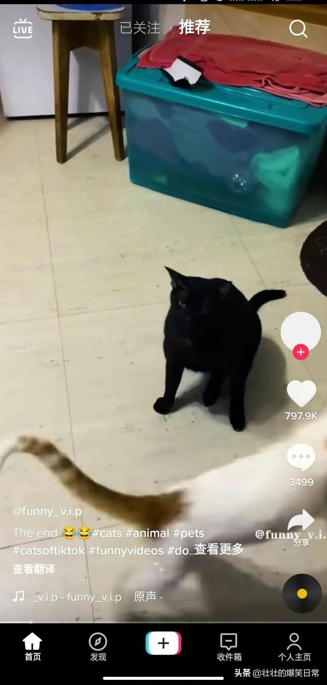 如何使用海外版抖音（国内怎样使用tiktok）-青简副业网