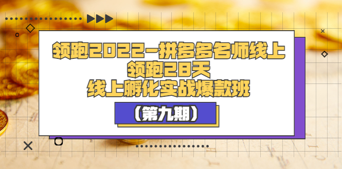 【副业项目3821期】拼多多名师线上领跑28天，拼多多线上孵化实操爆款班（第九期）-青简副业网