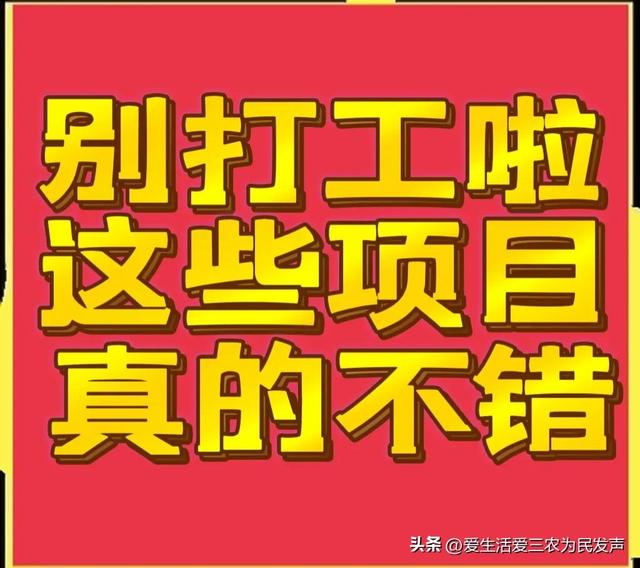 比打工强的小生意，农村小项目有哪些-青简副业网
