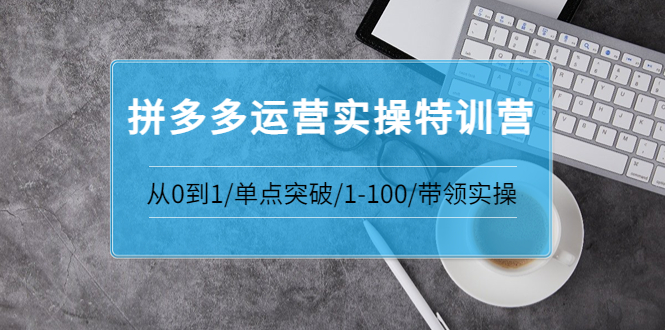 【副业项目3863期】拼多多运营实操特训营：拼多多直通车进阶优化技巧，拼多多如何操作利润最大化-青简副业网