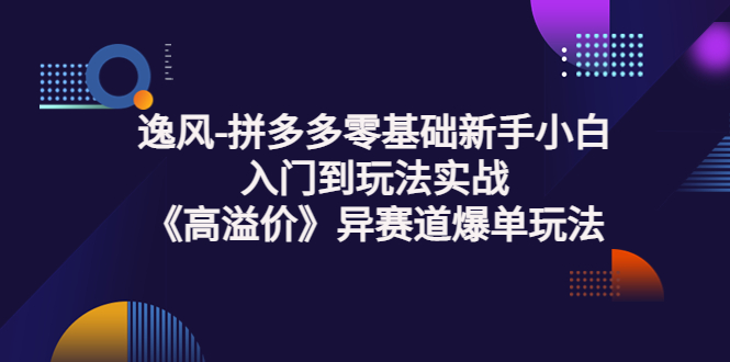 【副业项目3877期】逸风-拼多多新手小白入门到玩法实战，异赛道爆单玩法实操课-青简副业网