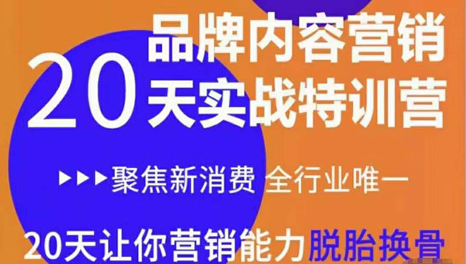 【副业项目3899期】《内容营销实操特训营》20天让你营销能力脱胎换骨（价值3999）-青简副业网