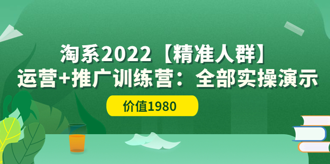 【副业项目3941期】淘系2022【精准人群】运营+推广训练营：全部实操演示-青简副业网