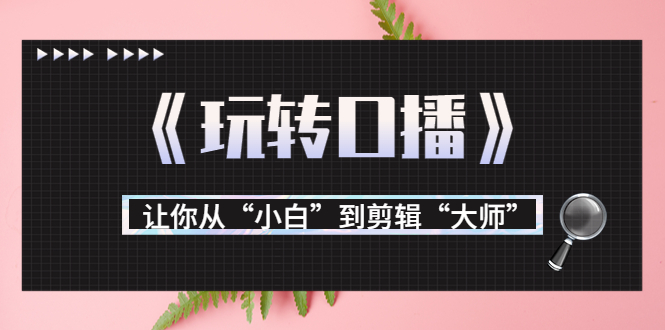 【副业项目3987期】月营业额700万+大佬教您《玩转口播》让你从“小白”到剪辑“大师”-青简副业网