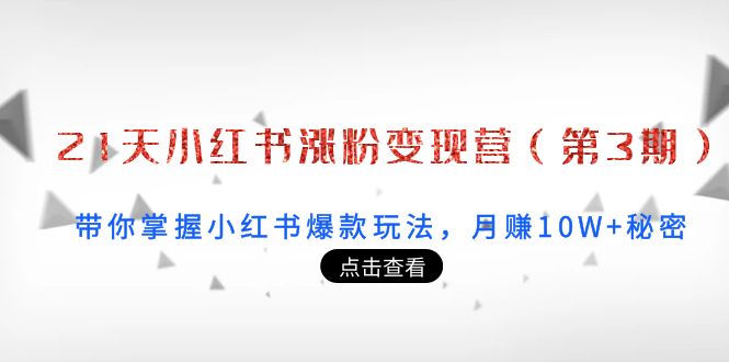 【副业项目4158期】21天小红书涨粉变现营（第3期）：带你掌握小红书爆款玩法，月赚10W+秘密-青简副业网