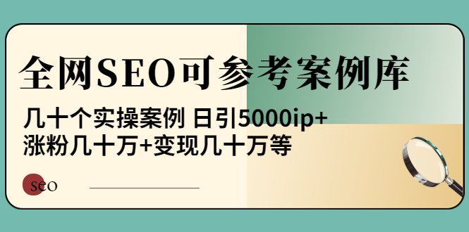 【副业项目4188期】《全网SEO可参考案例库》几十个实操案例 日引5000ip+涨粉百W+变现几十W等-青简副业网