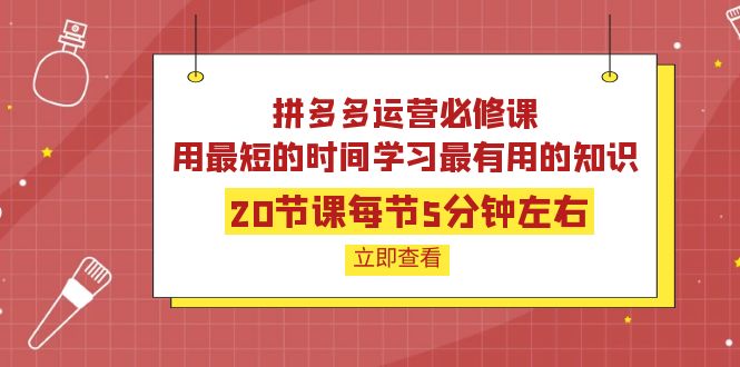【副业项目4189期】拼多多运营必修课：20节课每节5分钟左右，用最短的时间学习最有用的知识-青简副业网