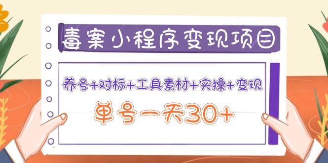 【副业项目4214期】图文案小程序变现项目：养号+对标+工具素材+实操+变现，单号一天30+-青简副业网