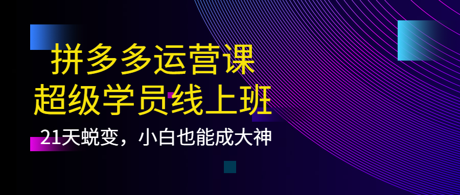 【副业项目4260期】拼多多运营课：超级学员线上班，21天蜕变，小白也能成大神-青简副业网