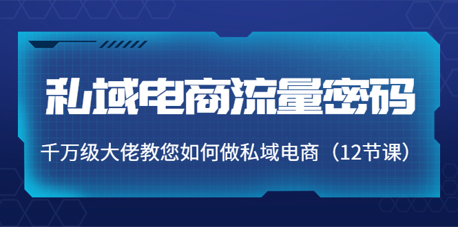 【副业项目4297期】私域电商流量密码：千万级大佬教您如何做私域电商（12节课）-青简副业网