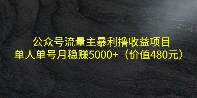 【副业项目4325期】公众号流量主暴利撸收益项目，单人单号月稳赚5000+（价值480元-青简副业网