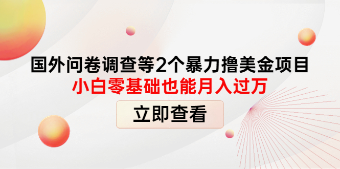 【副业项目4372期】国外问卷调查等2个暴力撸美金项目，小白零基础也能月入过万-青简副业网