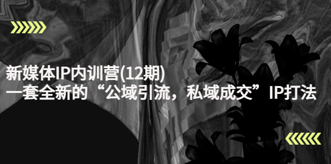 【副业项目4405期】新媒体IP内训营(12期)：一套全新的“公域引流，私域成交”IP打法，直接带走-青简副业网