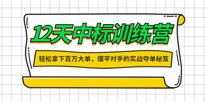 【副业项目4416期】12天中标训练营：轻松拿下百万大单，摆平对手的实战夺单秘笈-青简副业网