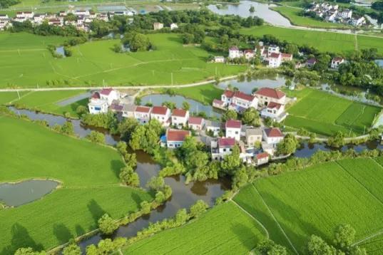 这6类项目在农村正成香馍馍？返乡创业摸准门路，年入百万不是梦农村商机好项目有哪些-青简副业网