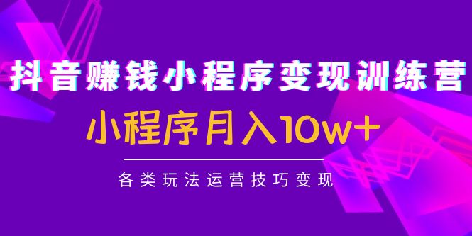 【副业项目4765期】抖音赚钱小程序变现训练营：小程序月入10w+各类玩法运营技巧变现-青简副业网