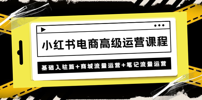 【副业项目4879期】小红书电商高级运营课程：基础入驻篇+商城流量运营+笔记流量运营-青简副业网