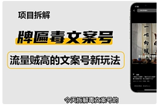 【副业项目4912期】2023抖音快手毒文案新玩法，牌匾文案号，起号快易变现-青简副业网