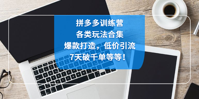 【副业项目4925期】拼多多训练营：各玩法合集，爆款打造，低价引流，7天破千单等等-青简副业网