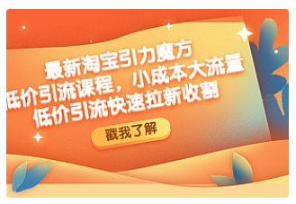 【副业项目4943期】最新淘宝引力魔方低价引流实操：小成本大流量，低价引流快速拉新收割-青简副业网