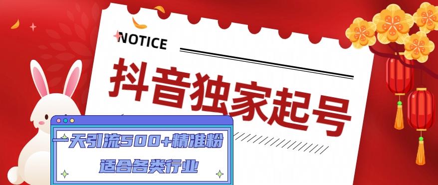 【副业项目5106期】抖音独家起号，一天引流500+精准粉，适合各类行业（9节视频课）-青简副业网