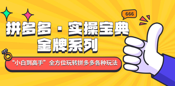 【副业项目5130期】拼多多·实操宝典：金牌系列“小白到高手”带你全方位玩转拼多多各种玩法-青简副业网