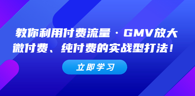【副业项目5265期】教你利用付费流量·GMV放大，微付费、纯付费的实战型打法-青简副业网