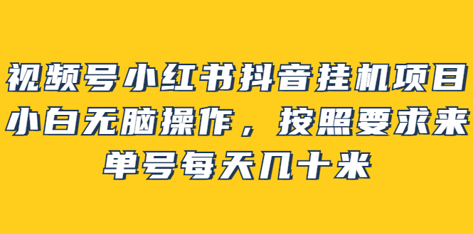 【副业项目2904期】视频号小红书抖音挂机项目，小白无脑操作，按照要求来，单号每天几十米-青简副业网