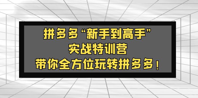 【副业项目5317期】拼多多“新手到高手”实战特训营：带你全方位玩转拼多多-青简副业网
